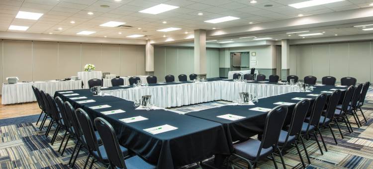 Holiday Inn & Suites 大草原城会议CTR(Holiday Inn & Suites Grande Prairie-Conference Ctr)图片