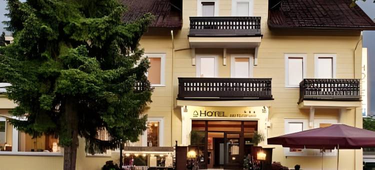 浴疗公园酒店(Hotel am Kurpark)图片