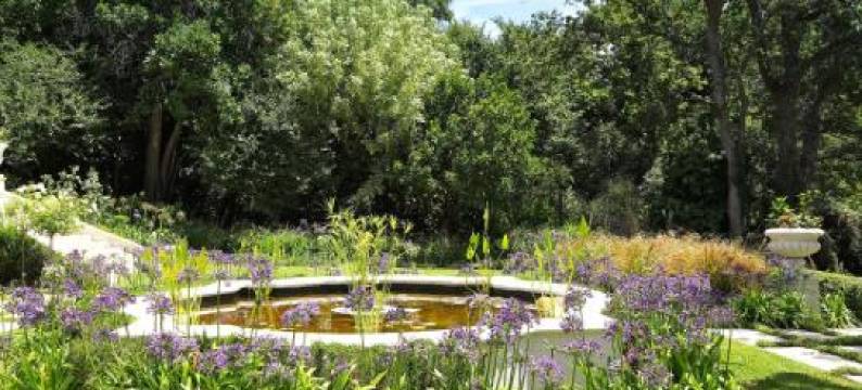 Constantia Klein图片