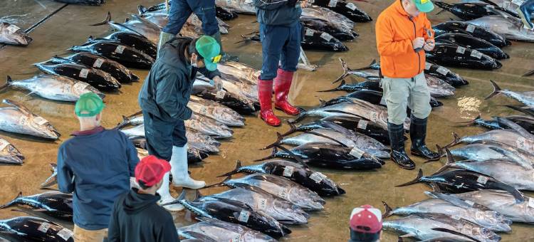 龟乃井酒店那智胜浦(KAMENOI HOTEL NACHI KATSUURA KUMANO KODO)图片