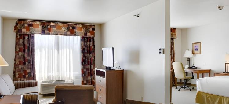 智选假日套房酒店俄克拉荷马城 - 伯大尼(Holiday Inn Express & Suites Oklahoma City - Bethany)图片