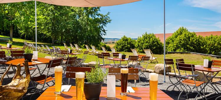 特斯图根堡维克托住宅式酒店(Victor's Residenz-Hotel Teistungenburg)图片