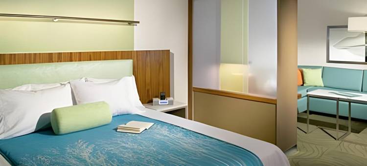 彭萨科拉万豪SpringHill酒店(SpringHill Suites Pensacola)图片