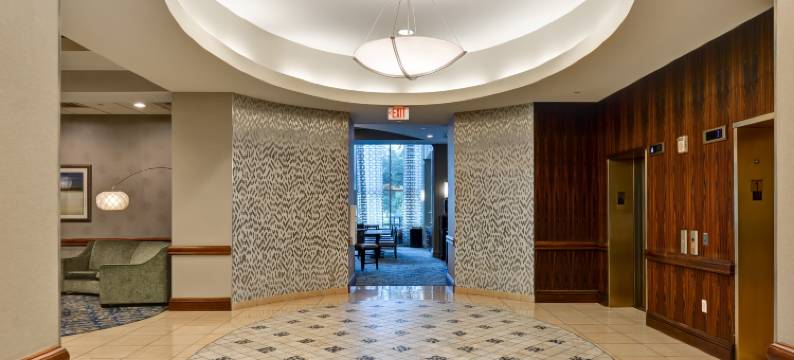 休斯顿商业街附近Homewood酒店(Homewood Suites by Hilton Houston Near the Galleria)图片