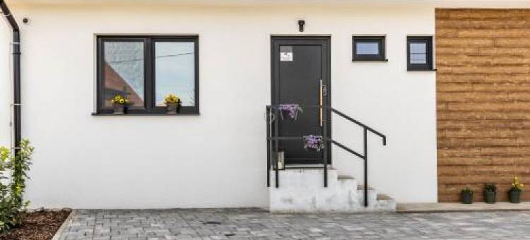 Private Stylish Apt with Free Parking 24-7 Self Check-IN图片