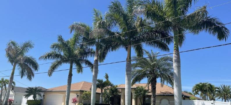 Luxury, Award-Winning Pool, All-Day Sun, Dock, Tiki Hut, Wheelchair Accessible图片