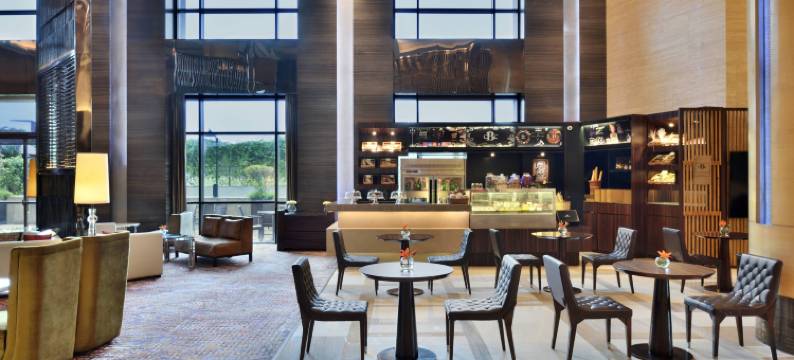 JW万豪昌迪格酒店(JW Marriott Hotel Chandigarh)图片