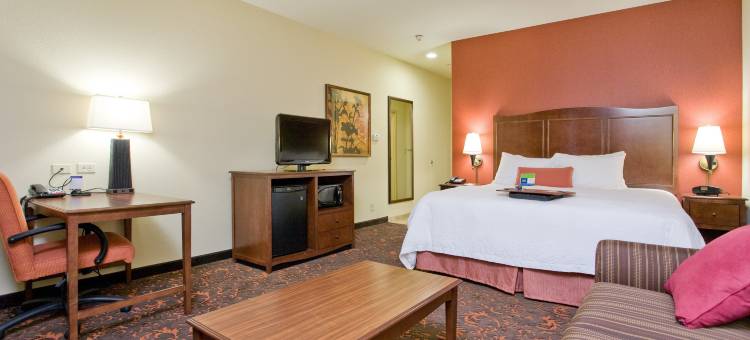 纽布朗费尔斯欢朋套房酒店(Hampton Inn & Suites New Braunfels)图片