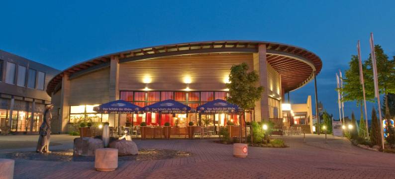 康来就贝斯特韦斯特优质酒店(Best Western Plus Konrad Zuse Hotel)图片