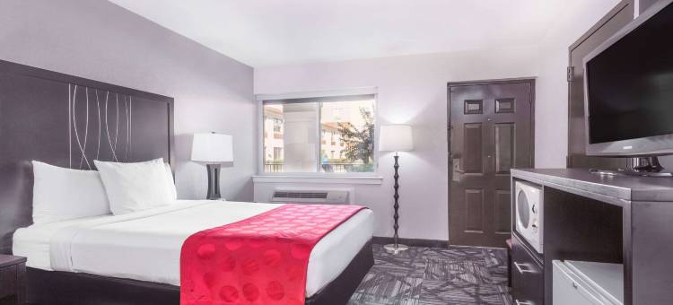 土斯卡鲁沙华美达酒店(Ramada by Wyndham Tuscaloosa)图片