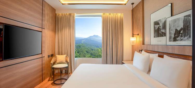 丽笙度假村 科波利(Radisson Resort Khopoli)图片