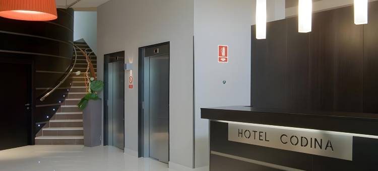塞尔科特尔科迪纳酒店(Sercotel Codina)图片