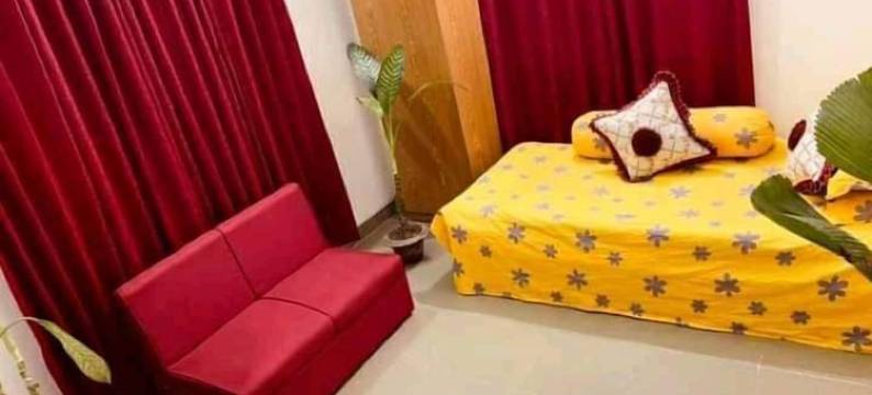 绿色之家(Green House)图片