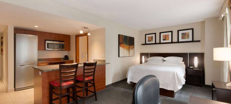 蒙特利尔市中心希尔顿安泊酒店(Embassy Suites by Hilton Montreal)图片