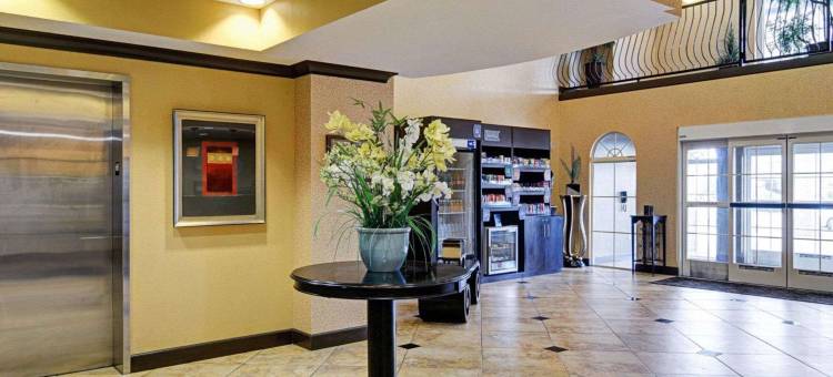 舒适套房酒店(Comfort Suites Conway)图片