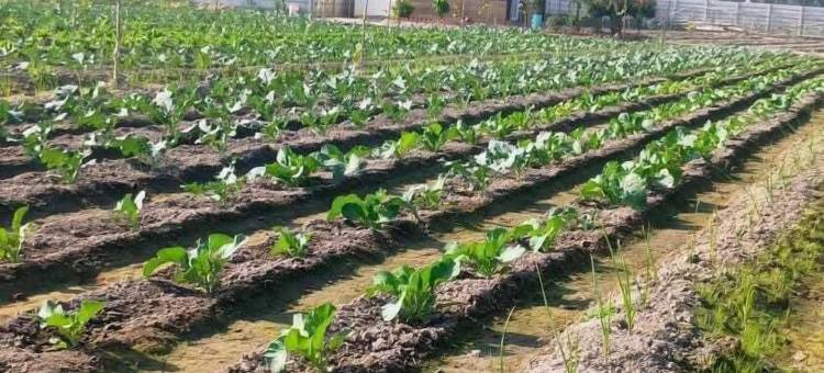 野趣隐居处(Wildlense Wild Retreat)图片