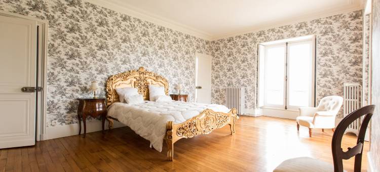 布雷特城堡酒店(Château de Blet)图片