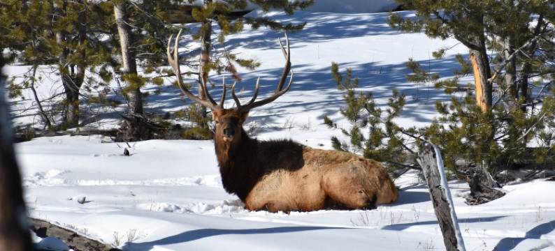 阿斯彭泉天使火酒店(Aspen Springs Angel Fire)图片