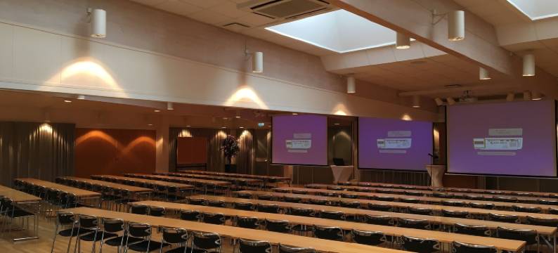 奥斯卡朗姆酒店(STF Hotell Rum Oscar)图片