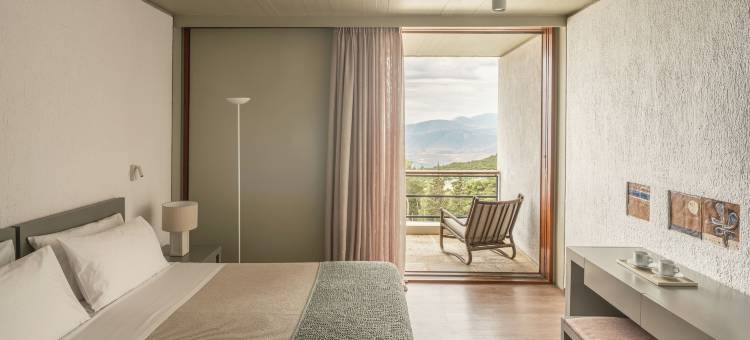 德尔菲阿玛利亚酒店(Amalia Hotel Delphi)图片