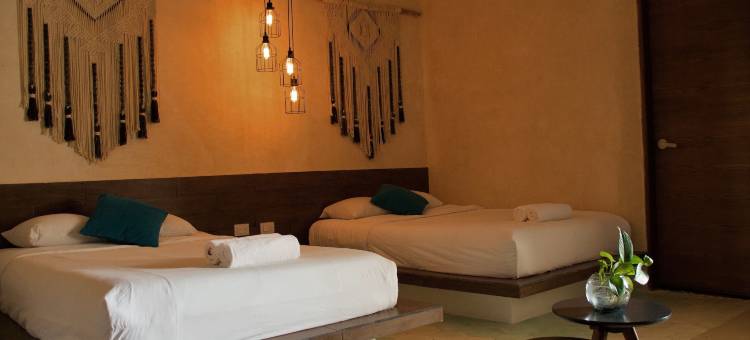 博霍尼托酒店霍尔博克斯(Hotel Bohonito Holbox)图片