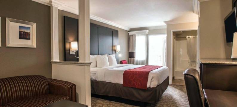 圣克莱门特海滩舒适套房酒店(Comfort Suites San Clemente Beach)图片