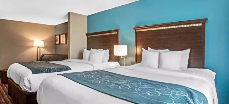 费尔维尤高地舒适套房酒店(Comfort Suites)图片