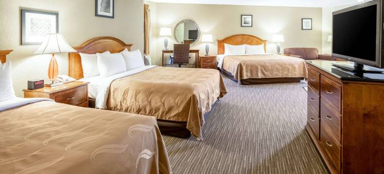 基斯通品质酒店-近拉什莫尔山(Quality Inn Keystone near Mount Rushmore)图片