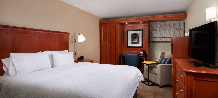 安阿伯市南区欢朋酒店(Hampton Inn Ann Arbor-South)图片