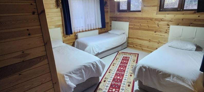 亚班特瓦蒂酒店(Abant Vadi)图片