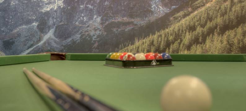 亚斯琴比亚图尔尼亚酒店(Pensjonat Jastrzębia Turnia)图片