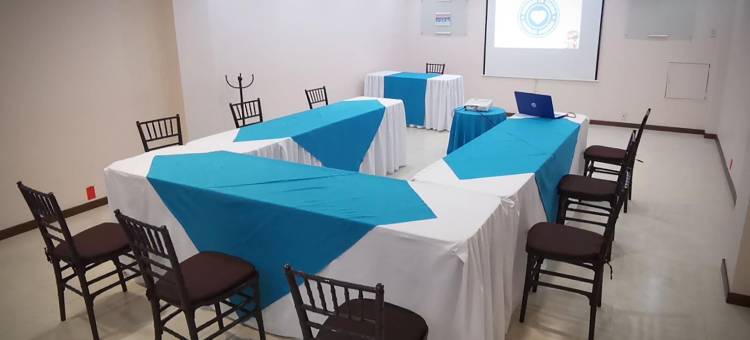 帕丘卡米西翁快捷酒店(Mision Express Pachuca)图片