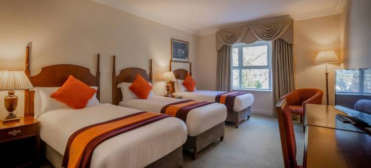 伍德斯托克恩尼斯酒店(Hotel Woodstock Ennis)图片