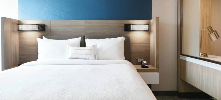 达拉斯DFW机场南中心港万豪SpringHill Suites酒店(SpringHill Suites Dallas DFW Airport South/CentrePort)图片