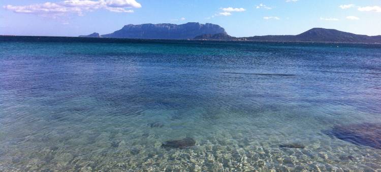 拉洋图B&B农庄酒店(Agriturismo l'Aglientu B&B)图片