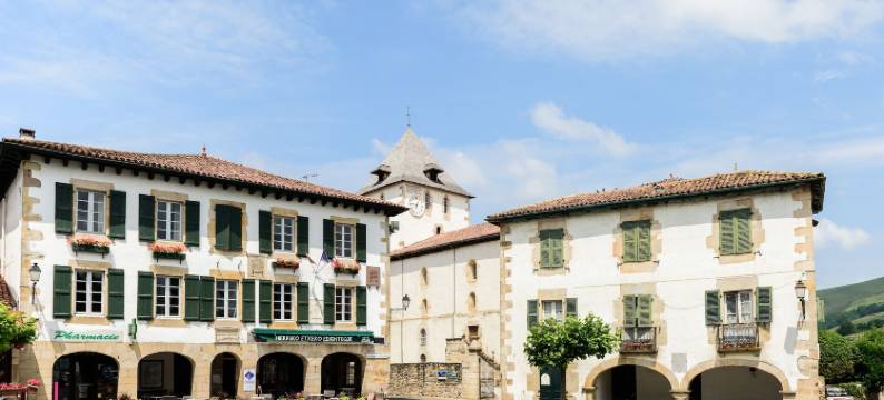 阿尔拉亚酒店(Arraya)图片