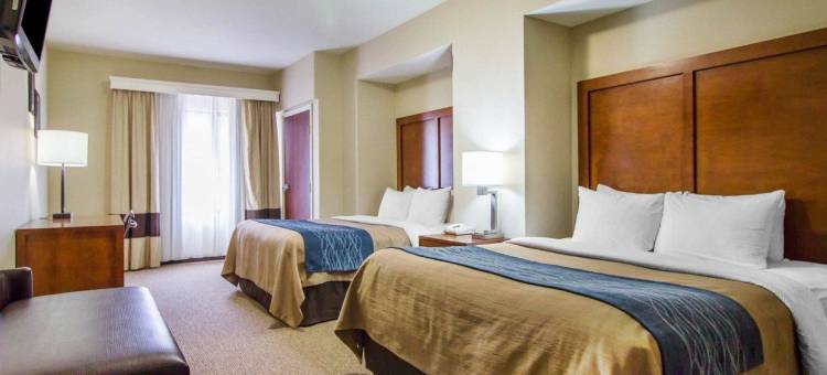 舒适酒店客栈&套房戴德伍德(Comfort Inn & Suites Deadwood)图片