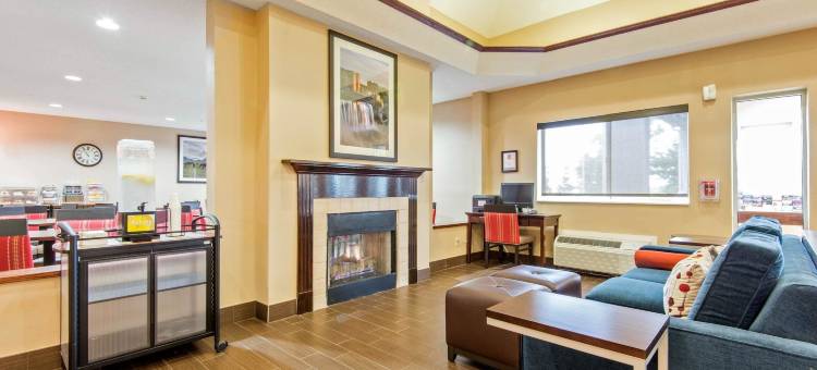 舒适套房酒店罗切斯特亨利埃塔大学区(Comfort Suites Rochester Henrietta University Area)图片