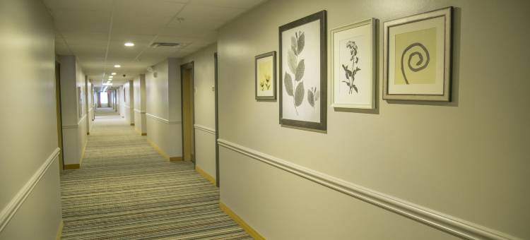 塞夫纳酒店及套房(Seffner Inn and Suites)图片