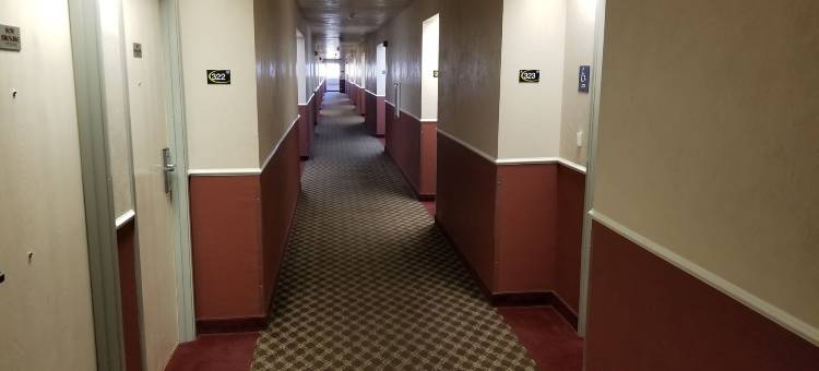 贝灵汉机场-芬代尔温德姆速8酒店(Super 8 by Wyndham Bellingham Airport/Ferndale)图片