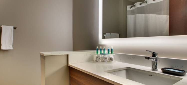 智选假日酒店-海伦(Holiday Inn Express & Suites Helen)图片