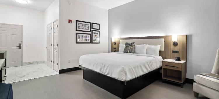 亚特兰大南纽南拉昆塔温德姆套房酒店(La Quinta Inn & Suites by Wyndham Atlanta South - Newnan)图片