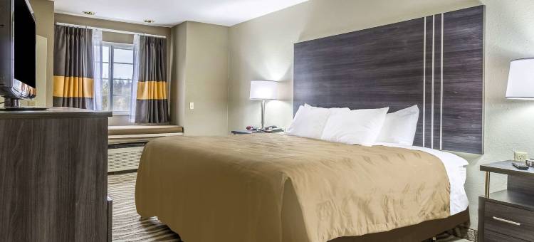 北利马博德曼凯艺套房酒店(Quality Inn & Suites North Lima - Boardman)图片