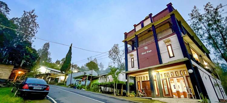 红门酒店@胡尼拉雅布罗莫酒店(RedDoorz @ Hotel Huni Raya Bromo)图片