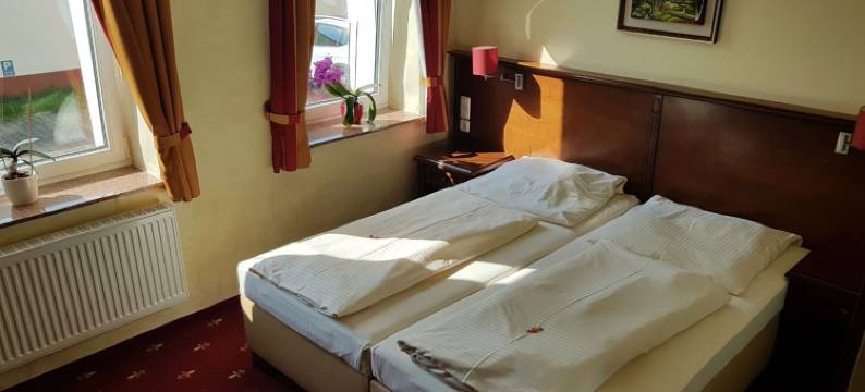 勋章酒店(Hotel Medaillon)图片