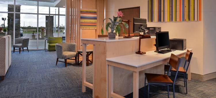 阿拉楚阿盖恩斯维尔地区智选假日套房酒店(Holiday Inn Express & Suites ALACHUA - GAINESVILLE AREA by IHG)图片