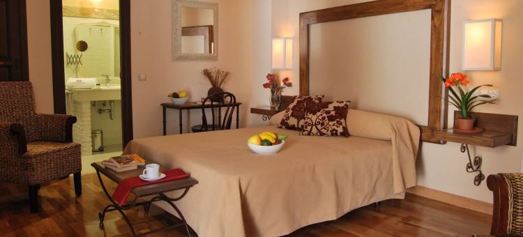 伟人阿耳马格罗酒店(Hotel Rural Casa Grande Almagro)图片