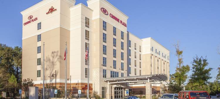 Crowne Plaza 雪兰(Crowne Plaza Shenandoah - Woodlands Area)图片