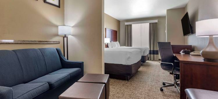 普莱诺-北达拉斯舒适全套房酒店(Comfort Suites Plano - Dallas North)图片