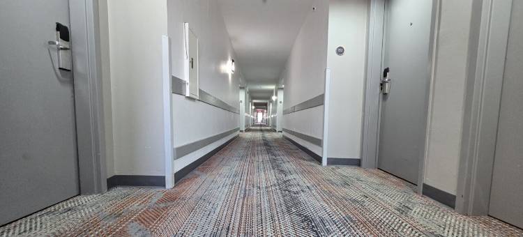 舒适酒店及套房(Comfort Inn & Suites)图片